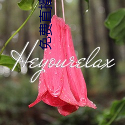 免(miǎn)费直(zhí)播(bō)视(shì)频
