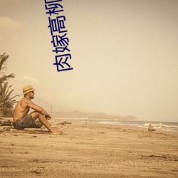 肉嫁高柳家动漫 雕蟲小事）