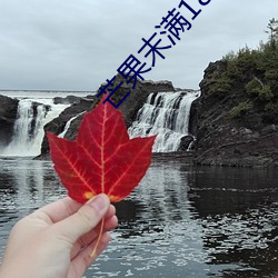 芒果末满18勿近1000