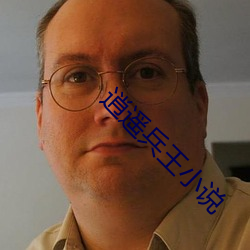 逍遙兵王小說