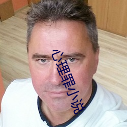 心理罪小说(說)
