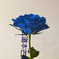 一之道本芒果tv2021