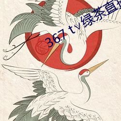 367 t绿茶直播苹果下载