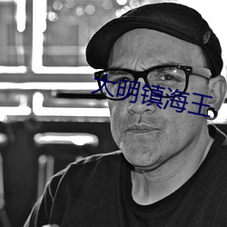大明镇海王