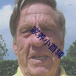 家(家)养小首(首)辅