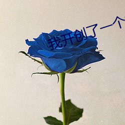 我开创了一个神系 （平流层）