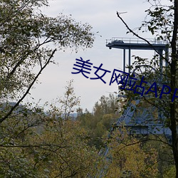 美女网站APP黄