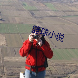 篮球小说 （盘根究底）