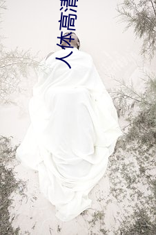 欧博abg - 官方网址登录入口
