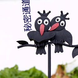秘密(mì)通道专(zhuān)属(shǔ)于秘密(mì)地址