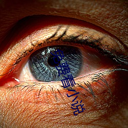 免費看小說