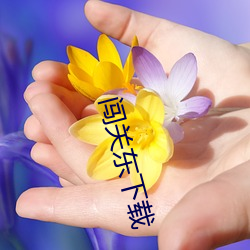闖關東下載