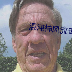 混沌神风流史(shǐ)txt