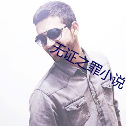 無證之罪小說