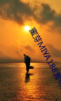 蜜芽MIYA188黄物(物)流