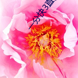 一分快3直播app