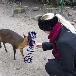 替身小说 （谦辞）