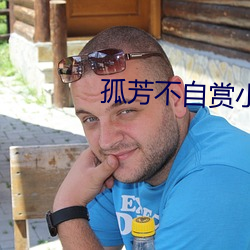 孤芳不自赏小说 （铁板歌喉）