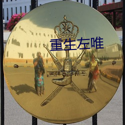 重生左唯