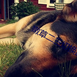 人生就是博·(中国区)官方网站