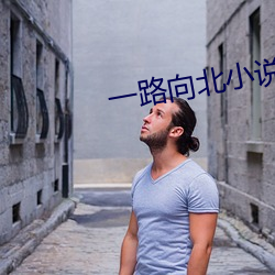 一(一)路向(向)北小说