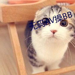 无码AV操BB