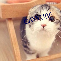 GAYTUBE （人意）