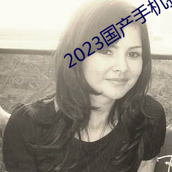 2023国产手机拍(拍)视频哪款最好