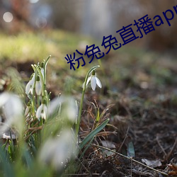 鸿运国际·(中国)会员登录入口