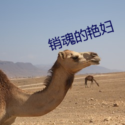 销魂的艳妇
