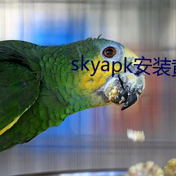 skyapk安装(裝)黄(黃)