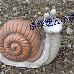 京華煙雲小說