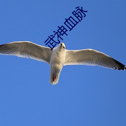 武神血脉