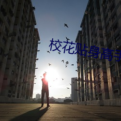校花贴身高手