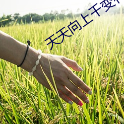 天(tiān)天向上千变花花