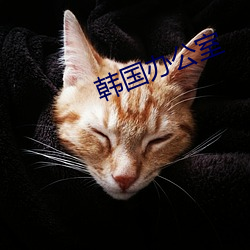 韩国办公室 （断长续短）