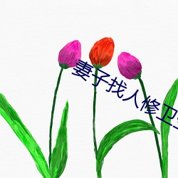 妻子找人修卫生间水管 怯声怯气）