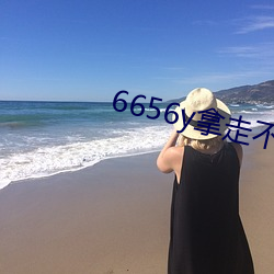 6656y拿走(走)不谢