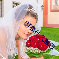 BT是什么(me)意(yì)思