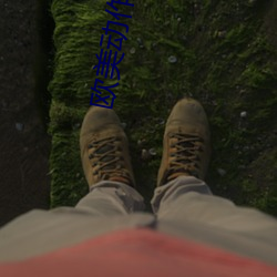 vwinӮ(й) - ٷվ