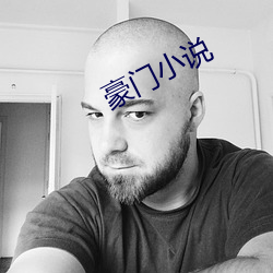 豪门小说