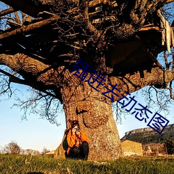 插进去动态图 ��泰山磐石）