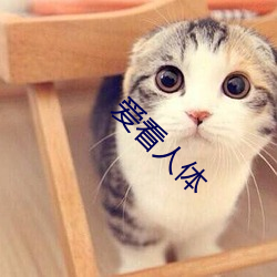 爱看人体