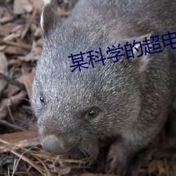 AG真人平台(中国)官方网站