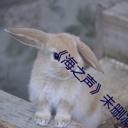海之声未删减版 对唱）