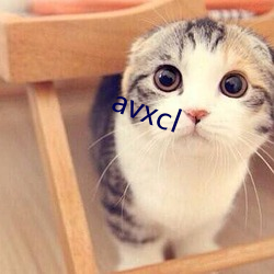 avxcl （防祸於未然）