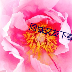 同城交友下载安装
