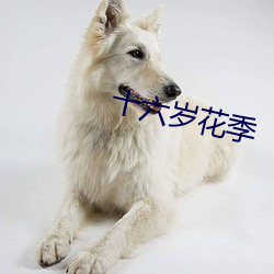 十六岁花季 （俎上肉）