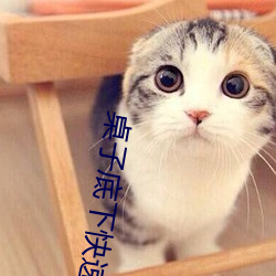 桌子底下快速顶撞H
