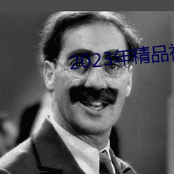 2023年精品(品)视频